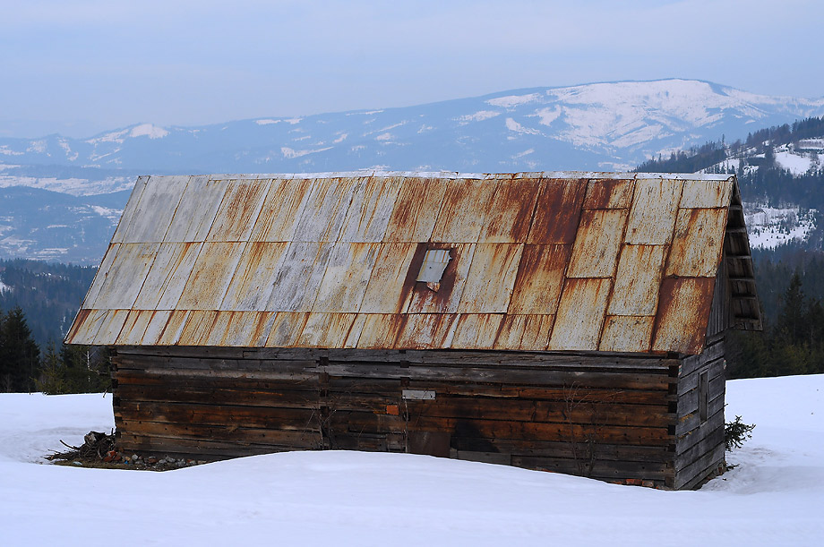 Na Hali Boraczej (Beskid Żywiecki)
